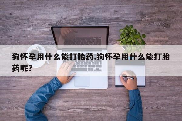 咨询购买正品米非司酮片狗怀孕用什么能打胎药.狗怀孕用什么能打胎药呢？