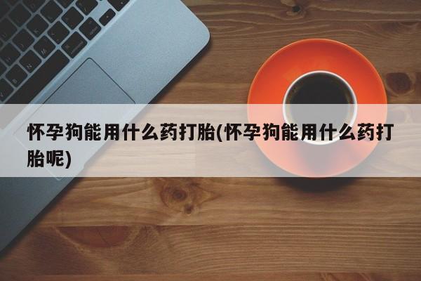 咨询购买正品米非司酮片怀孕狗能用什么药打胎(怀孕狗能用什么药打胎呢)