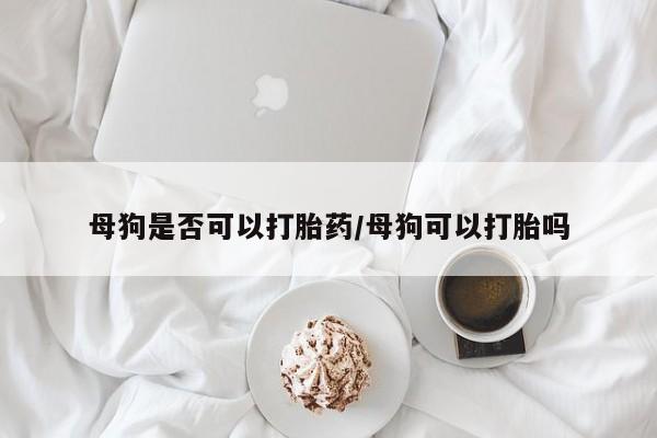 咨询购买正品米非司酮片母狗是否可以打胎药/母狗可以打胎吗